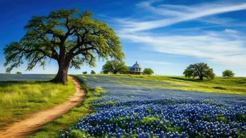 natureza texas bluebonnets bluebonnet ai gerado foto