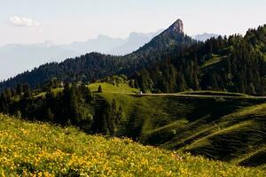 verão tranquilidade dentro isere montanhas, França foto