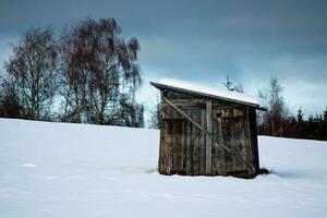 acolhedor de madeira cabine dentro inverno país das maravilhas savoie montanha retiro foto