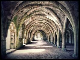 Eterno beleza fontes Mosteiro ruínas, Inglaterra foto