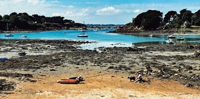 sereno verão panorama rochoso litoral e mar em brehat ilha, Bretanha, França foto