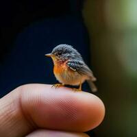 microcósmico harmonia generativo ai captura delicado pássaro empoleirado em dedo foto