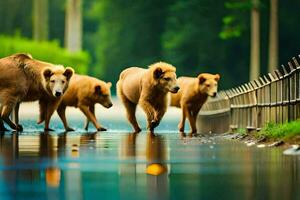 quatro Castanho ursos caminhando ao longo uma estrada. gerado por IA foto
