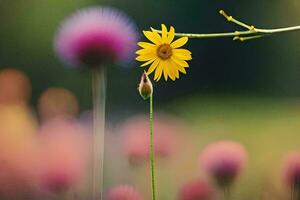 uma amarelo flor é em pé dentro frente do uma campo do Rosa flores gerado por IA foto