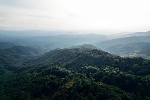 montanhas e florestas verdes de verão foto