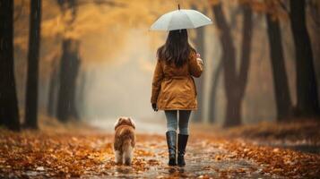 mulher caminhando dela cachorro dentro a chuva com guarda-chuva foto