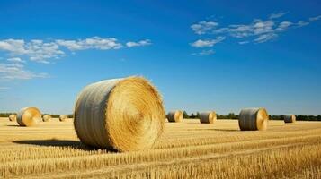 rural campo feno fardos ai gerado foto