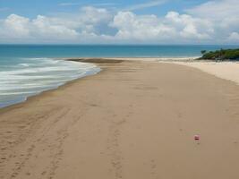 de praia lindo fechar acima imagem ai gerado foto