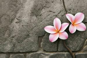 plumeria flor. fundo. ai generativo pró foto