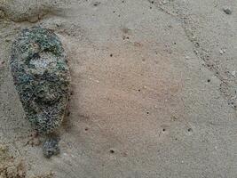 coral pedra em a costa às leste Java de praia foto