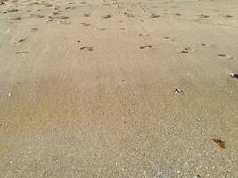 cheio quadro, Armação tiro do lindo de praia areia dentro a verão Sol. foto
