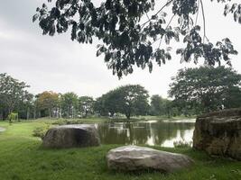 tropical jardim com surpreendente plantas e flores foto