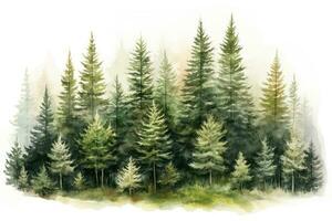 aguarela ilustração do uma conífero floresta em uma branco fundo, mão desenhado aguarela conífero floresta ilustração do abeto, ai gerado foto
