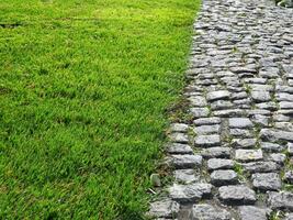 calçada portuguesa caminho dentro a parque foto