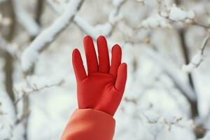 mulher mão dentro vermelho luvas em inverno. gerar ai foto