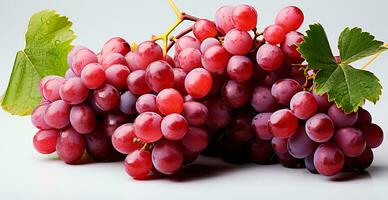 vermelho uvas em uma branco fundo, videira - ai gerado imagem foto