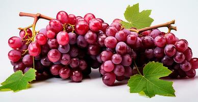 vermelho uvas em uma branco fundo, videira - ai gerado imagem foto