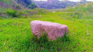 solitário gigante uma maciço pedra dentro uma grande pastagem foto