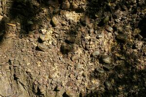 fechar acima do a penhasco pedra superfície, uma natural fenômeno causou de a erosão do a sedimento este fluxos ao longo a curso de água, formando uma sedimentar camada com arredondado rio pedras embutido dentro isto. foto