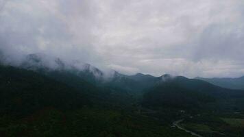 aéreo Visão do tropical floresta com névoa dentro a manhã. topo Visão a partir de zangão do lindo montanha tropical floresta durante inverno dentro tailândia. natural panorama fundo. foto