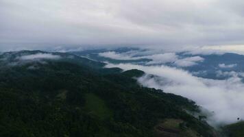 aéreo Visão do tropical floresta com névoa dentro a manhã. topo Visão a partir de zangão do lindo montanha tropical floresta durante inverno dentro tailândia. natural panorama fundo. foto