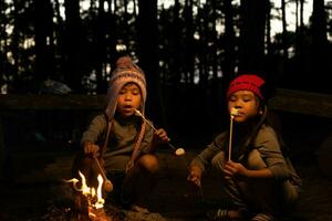 irmãzinhas bonitinhas assando marshmallows na fogueira. crianças se divertindo na fogueira. acampar com crianças na floresta de pinheiros de inverno. família feliz de férias na natureza. foto