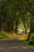 Visão do uma estrada, Além disso uma corrida rastrear dentro a manhã, depois de alguns Editar% s. foto