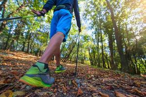 caminhada nórdica entre as folhas na floresta no outono foto