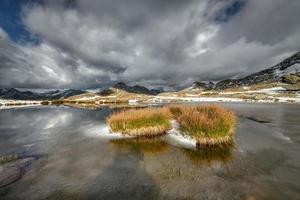 tufos de prado em um pequeno lago alpino foto