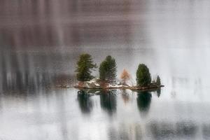 pequena ilha com plantas em um lago de montanha foto