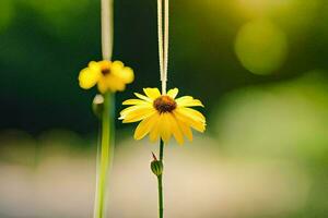 dois amarelo flores suspensão a partir de uma corda. gerado por IA foto