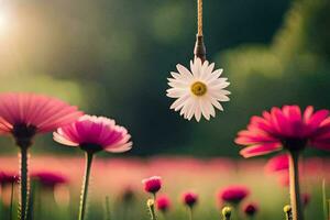 uma margarida suspensão a partir de uma corda dentro uma campo do flores gerado por IA foto