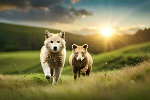 dois branco cachorros corrida dentro a Relva às pôr do sol. gerado por IA foto