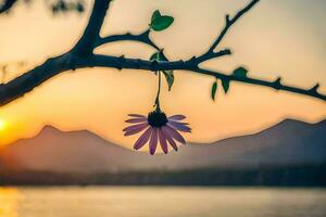 uma flor suspensão a partir de uma árvore ramo às pôr do sol. gerado por IA foto