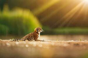 uma leopardo sentado em a terra perto uma rio. gerado por IA foto