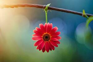 uma vermelho flor suspensão a partir de uma ramo. gerado por IA foto