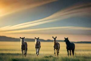 quatro cavalos corrida dentro a Relva às pôr do sol. gerado por IA foto