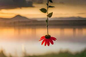 uma vermelho flor suspensão a partir de uma videira às pôr do sol. gerado por IA foto