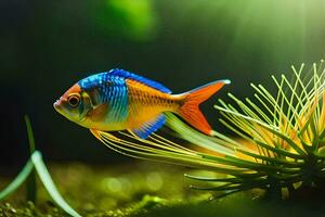 uma peixe com brilhante cores natação dentro a água. gerado por IA foto