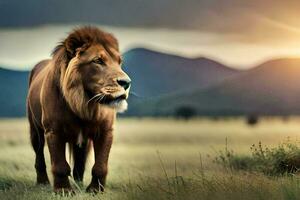 a leão é caminhando dentro a Relva às pôr do sol. gerado por IA foto