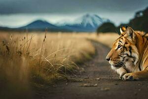 uma tigre deitado baixa dentro a meio do uma campo. gerado por IA foto