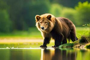 uma Castanho Urso caminhando através uma rio. gerado por IA foto