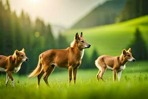 três Castanho cachorros estão em pé dentro a grama. gerado por IA foto