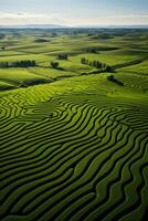 aéreo Visão do intrincado colheita círculos e padrões em exuberante terras agrícolas foto