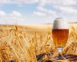 uma vidro do Cerveja dentro uma trigo campo foto