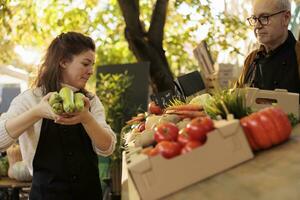 dois agricultores vendedores colocando frutas e legumes em mercado ficar em pé, preparando para Novo dia para vender orgânico produzir. homem e mulher wokring às local agricultores mercado, fresco natural Comida. foto