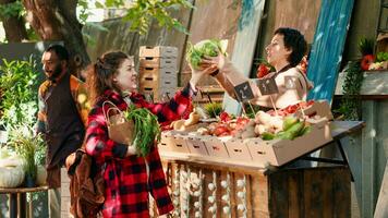 fêmea agricultor dando fresco produzir para vegetariano cliente, vendendo localmente crescido bio frutas e legumes. jovem mulheres falando sobre orgânico produtos e saudável nutrição às mercado verde. foto