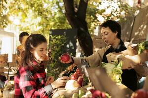 jovem mulher falando com fornecedor enquanto escolhendo maçãs às local mercado, em pé perto fruta e vegetal parar. fêmea agricultor vendendo fresco orgânico natural produtos para cliente às sazonal mercado verde foto