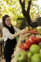 fêmea agricultor vendendo orgânico caseiro frutas e legumes, arranjo fresco eco produzir fora. jovem pequeno o negócio proprietário preparando natural Comida para vender às local agricultores mercado. foto