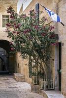 cena de rua de paralelepípedos da cidade velha na antiga cidade de jerusalém, israel
